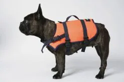Zwemvest Voor Honden Besto (Type: Voor Honden Van 15 - 40KG) -Kajak Winkel Afbeelding 05 20429015 3 1