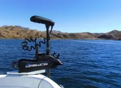 Haswing Cayman B55 GPS Boegmotor 17 Haswing Cayman B55 GPS Boegmotor -Kajak Winkel Afbeelding 22 HE50736 8